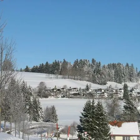 Apartament Haus Lenzhalde